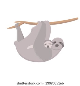 Sloth with baby hanging on a tree on white background. Cute mother sloth with her child hanging on tree branch. Parent concept.