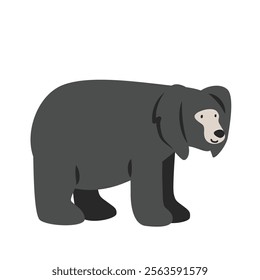 Sloth bear cartoon clipart. Sloth bear or Indian bear vector illustration in flat style. Hand-drawn wild animal concept