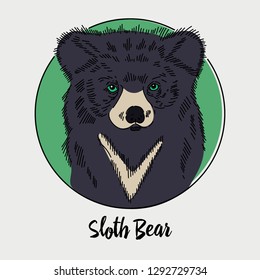 Sloth bear portrait. Ursus ursinus. Funny portrait. Vector illustration. Picture for posters, t-shirts, cards, cups, bags and wall art. Vector design