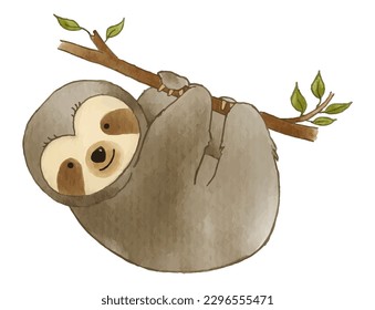 Sloth bear is suspending on branch of tree . Watercolor paint design . Cute animal cartoon character . Vector .