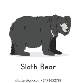 Sloth bear vector illustration, cartoon clipart character, animal in flat style. Wild animals, wild creatures, wildlife concept. Indian bear vector design isolated on white background