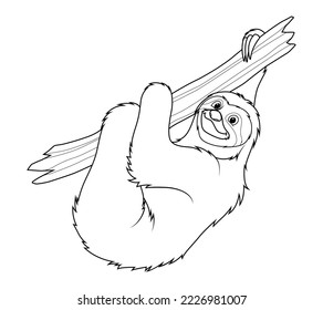 Sloth Cartoon Animal Illustration BW