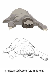 sloth cartoon clipart and sketchy line art vector