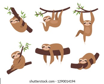 Sloth characters. Cute sleepy animal on branch tree kid climbing vector cartoon mascot