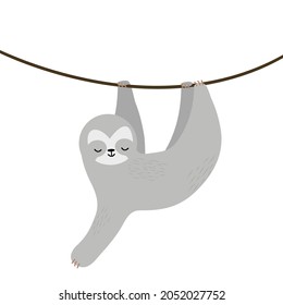 sloth climbing the vine vector