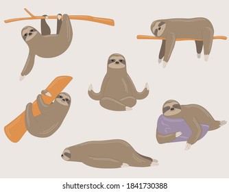 Sloth in different poses. Lazy animal in linear cartoon style.