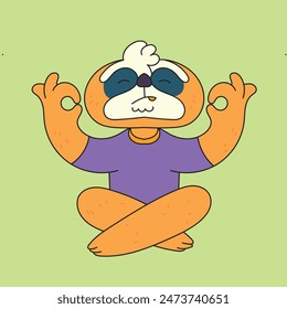 a sloth doing one of the yoga movements.