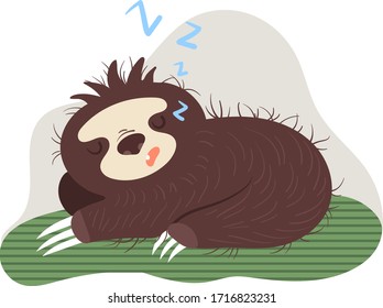 Sloth dream on green leaf, strong and healthy sleep concept and vector illustration on white background. Cheerful and joyful animal character sloth rest on green leaf. Cosy cartoon style.