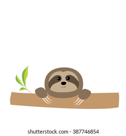 Sloth face and hands. Cute cartoon character. Tree branch Wild jungle animal collection. Baby education. Isolated. White background. Flat design Vector illustration