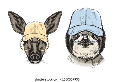 Sloth and fallow deer in hat and glasses. Modern sketch kit in color on white background