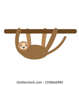 sloth flat illustration on white