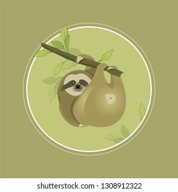 Sloth. Folivora. Slow and lazy animal. Mammals in the jungle. Sloth hanging on a branch. Funny animals.