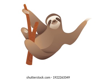 Sloth hanging on a branch cartoon animal design vector illustration on white background