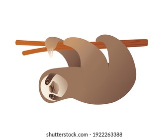 Sloth hanging on a branch cartoon animal design vector illustration on white background