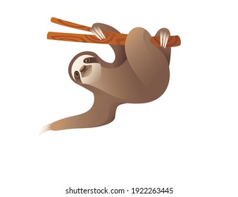 Sloth hanging on a branch cartoon animal design vector illustration on white background