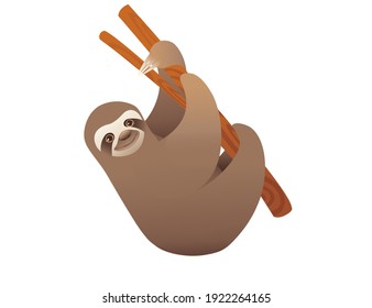 Sloth hanging on a branch cartoon animal design vector illustration on white background