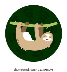 Sloth hanging on a branch in a green background