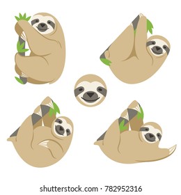 The sloth is hanging on a branch with leaves. A set of four color vector images of different animal poses and the image of the head. Simple flat style, transparent background.