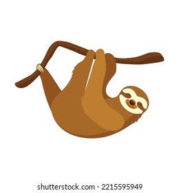Sloth hanging on branch and smiling flat vector illustration. Animals and wildlife concept