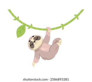 Sloth Hanging on Liana as Tropical Animal and Wild African Fauna Vector Illustration