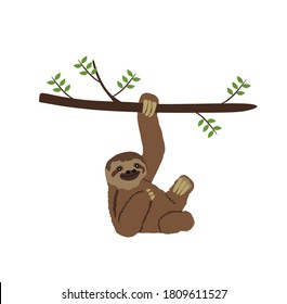 Sloth hanging on three branch vector illustration isolated on white background. Funny lazy animal zoo attraction.