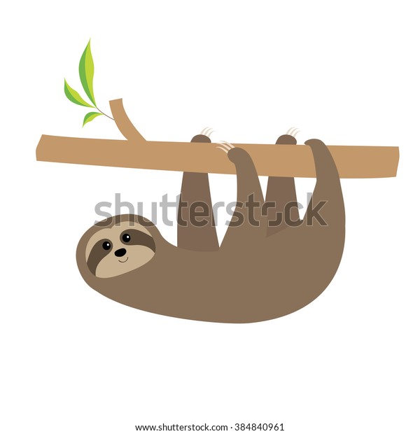 Sloth Hanging On Tree Branch Cute Stock Vector (Royalty Free) 384840961