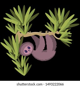 sloth hanging on the tree. dark background