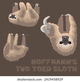 Sloth Hoffmann's Two-Toed Sloth Cartoon Vector Illustration