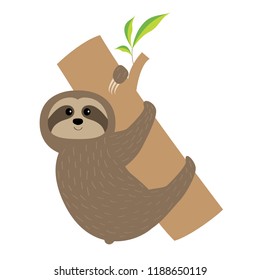 Sloth hugs tree branch. Cute cartoon character. Fluffy fur. Wild jungle animal collection. Baby education. Isolated. White background. Flat design. Vector illustration