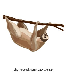 Sloth icon. Cartoon of sloth vector icon for web design isolated on white background