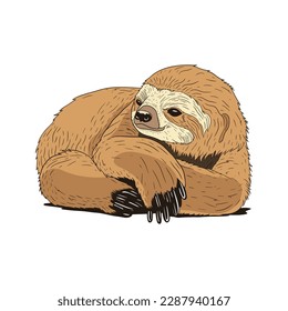 Sloth Illustration, Lying on the floor looking lazy. Vector