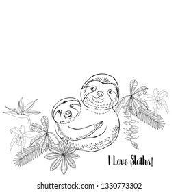 Sloth in Jungle. Animal and Plants sketches. Hand Drawn Background. Vector Illustration
