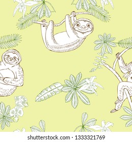 Sloth in Jungle. Animal and Plants sketches. Hand Drawn Background. Vector Illustration