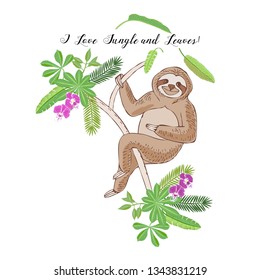Sloth in Jungle. Animal and Plants sketches. Hand Drawn Background. Vector Illustration