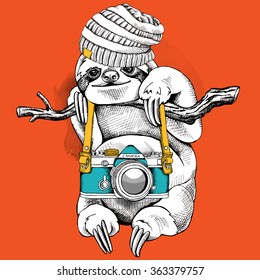 Sloth in a knitted hat with camera. Vector illustration.