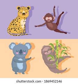 sloth leopard koala and monkey animal safari cartoon vector illustration