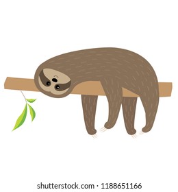 Sloth lying on tree branch. Cute cartoon character. Fluffy fur. Wild jungle animal collection. Baby education. Isolated. White background. Flat design. Vector illustration