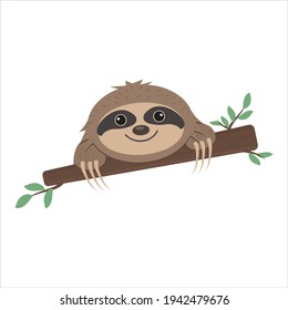 Sloth lying on a tree, vector isolated illustration, icon, design, clipart