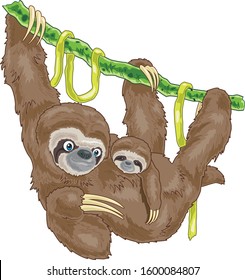 Sloth mother and baby happy family hanging on the tree