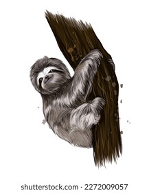 Sloth from multicolored paints. Splash of watercolor, colored drawing, realistic. Vector illustration of paints