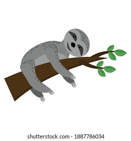 Sloth on a branch, cute animal of gray color in flat style, brown branch with leaves, sleepy animal vector illustration