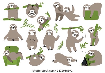 Sloth on branch. Cute little kid sleepy animal on branch in zoo playing with baby hanging vector characters cartoon. Hand drawn collection of funny sloth, flowers, branch.