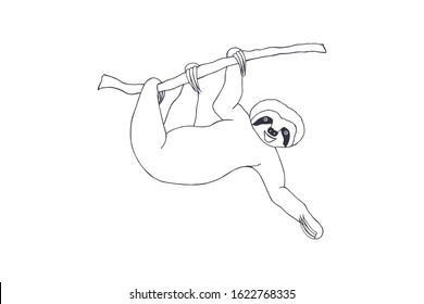 sloth on a branch. eps10 vector stock illustration. hand drawing. out line