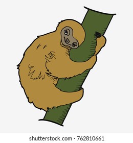 Sloth on a branch. Freehand sketch drawing vector illustration