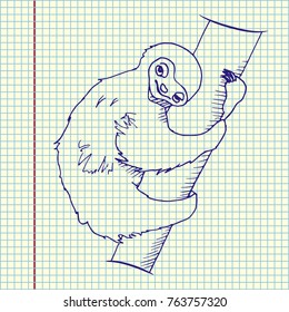Sloth on a branch. Freehand sketch drawing vector illustration