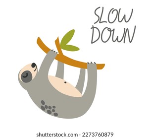 Sloth on a branch. Lazy wild animal lies on branch, climbs trees or eats green leaves. Design elements for stickers, social networks. Cartoon flat vector 
Illustration isolated on white background
