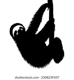 Sloth on the branch silhouette isolated on white background. Vector illustration