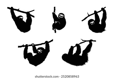 Sloth on branch Silhouette Vector Set, Sloth Black Vector Bundle