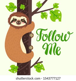 Sloth on the branch. Vector illustration with bear, leaves and lettering Folllow me on white background. Greeting card.