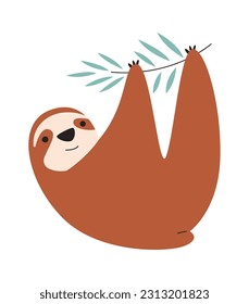 Sloth On Branch Vector Illustration